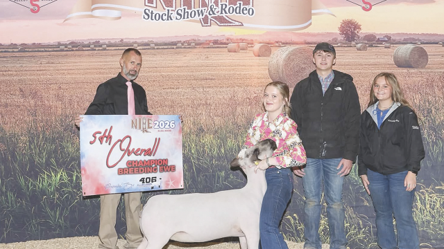 Lovell High School senior Addyson Perkins poses with her breeding ewe, with which she placed fifth overall at the Northern International Livestock Exposition livestock show recently. Courtesy Photo